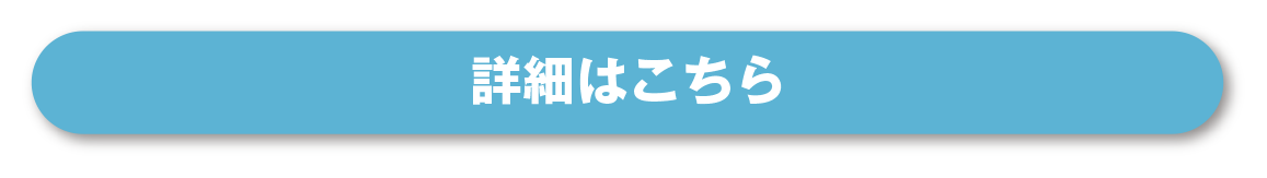 詳細はこちらからリンクします